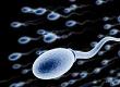 Freezing Sperm Fast: Why Does it Make a Difference?