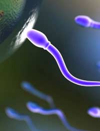 Fertility Infertility In Vitro