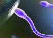 We Conceived a Child From Donated Sperm: A Case Study