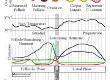 Predicting Ovulation