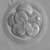 Intra-Cytoplasmic Sperm Insemination (ICSI)